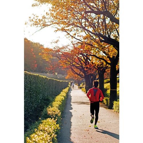 Arm Band, Armband Phone Holder for Sports - M - Max 4.7"