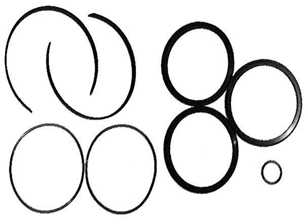 Scania retarder accumulator rubber kit (Ref. Scania 550550)