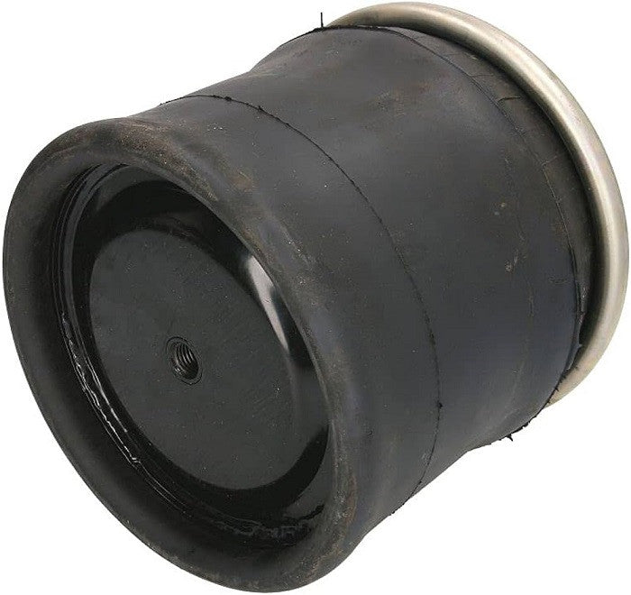 Molla asia sospensione per Daf CF