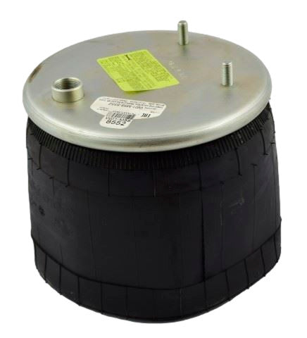 Molla asia sospensione per Daf CF