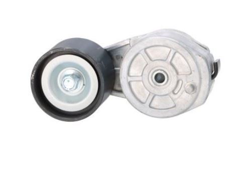 Tendicinghia per Iveco Stralis S-Way