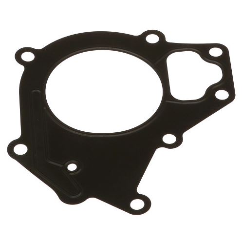 Thermostat gasket C119879