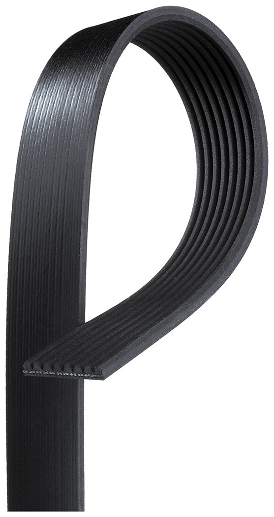 Belt 8pk2080 Contitech ( Scania Ref : 1800541 )