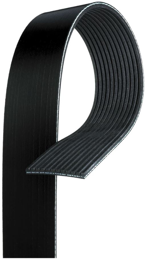 Cinghia poly V 12 PK 1950