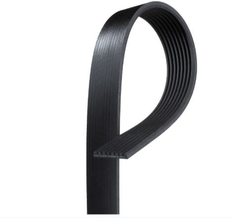 Cinghia Poly-v 8pk 2070 per Daf XF 106