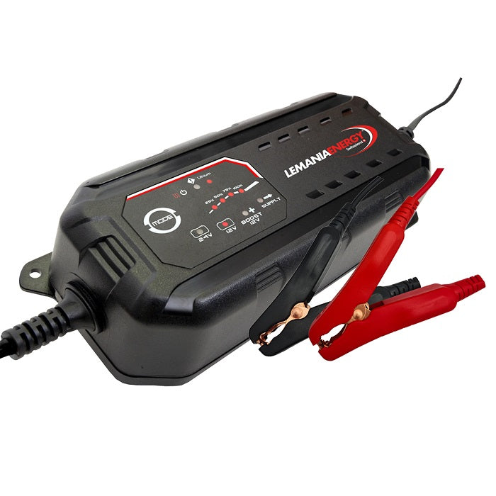 Caricabatterie mantenitore professionale 12/24V 25A