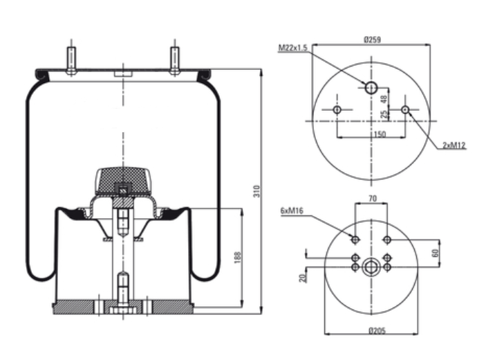 Molla aria completa Firestone per Assale BPW 30