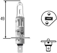H1 24V 55W bulb