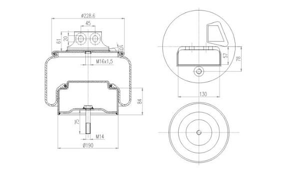 Molla aria posteriore/anteriore sinistra completa per Iveco Stralis
