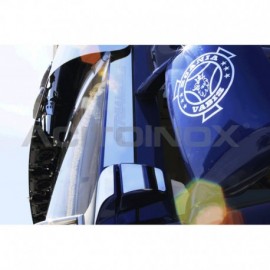 Applicazioni Piantoni Vetro + Cerniera Scania R, New R, Streamline