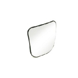 Vetro specchio grandangolo Scania dx/sx