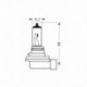 24V Lampada alogena Blu-Xe - H11 - 70W - PGJ19-2 - 2 pz - D/Blister