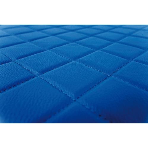 Pair of imitation leather carpets - Blue - Daf XF 105