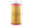 Filtro aria motore Daf trucks (MANN filter)