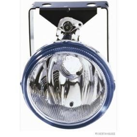 Fog lights right/left for Volvo FE