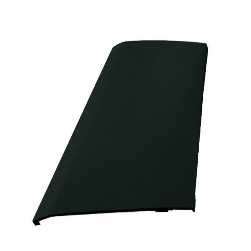 Left side door cap bumper Stralis