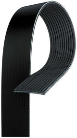 Cinghia poly V 12 PK 1950