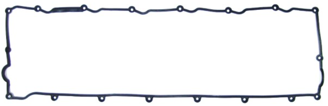 Guarnizione coperchio punterie per Man TGA TGX e TGS