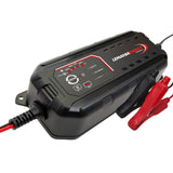 Illuminated thermometer