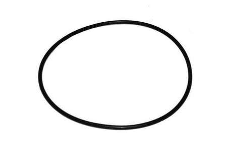 O-ring nero per centrifuga Scania, vista dall’alto su fondo bianco
