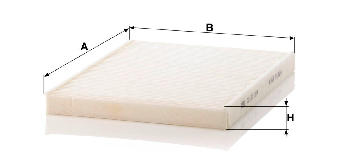 Filtro abitacolo esterno Renault Mann Filter